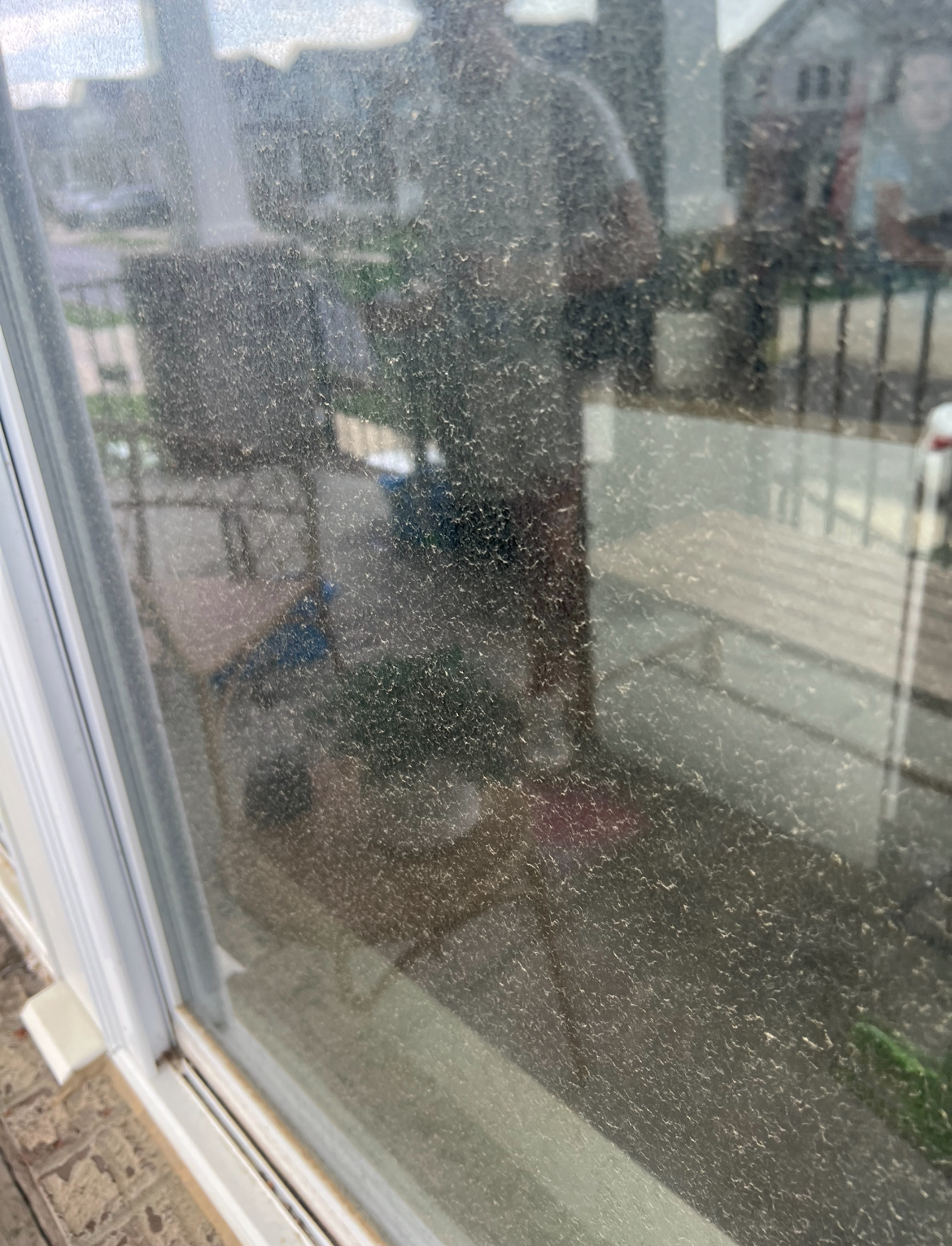 Before Cleaning